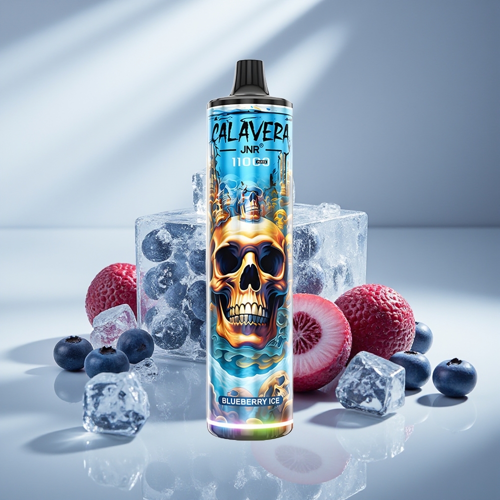JNR Calavera 11000 Голубичный Лёд Type-C 850mAh