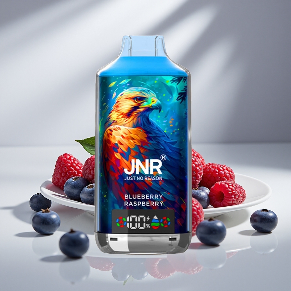 JNR Falcon X 18000 Малиново-Черничный Двойной Меш Заряд 750