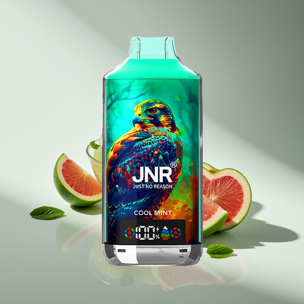 JNR Falcon X 18000 Прохладная Мята 750mAh Dual Mesh