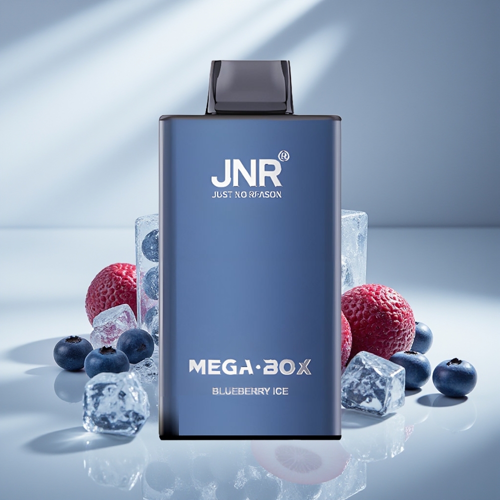 JNR Mega Box 25000 Черничный Лёд 30мл Dual Mesh