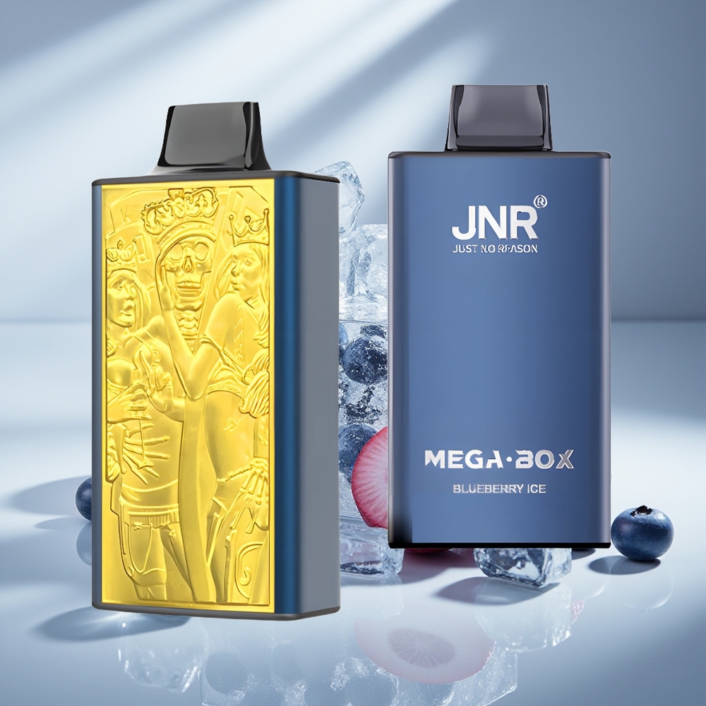 JNR Mega Box 25000 Черничный Лёд 30мл Dual Mesh
