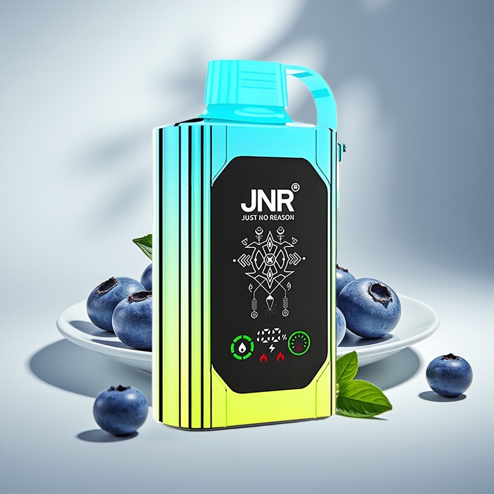 JNR Shisha Hookah Box 20500 Черничная Мята HD 25мл Dual Mesh