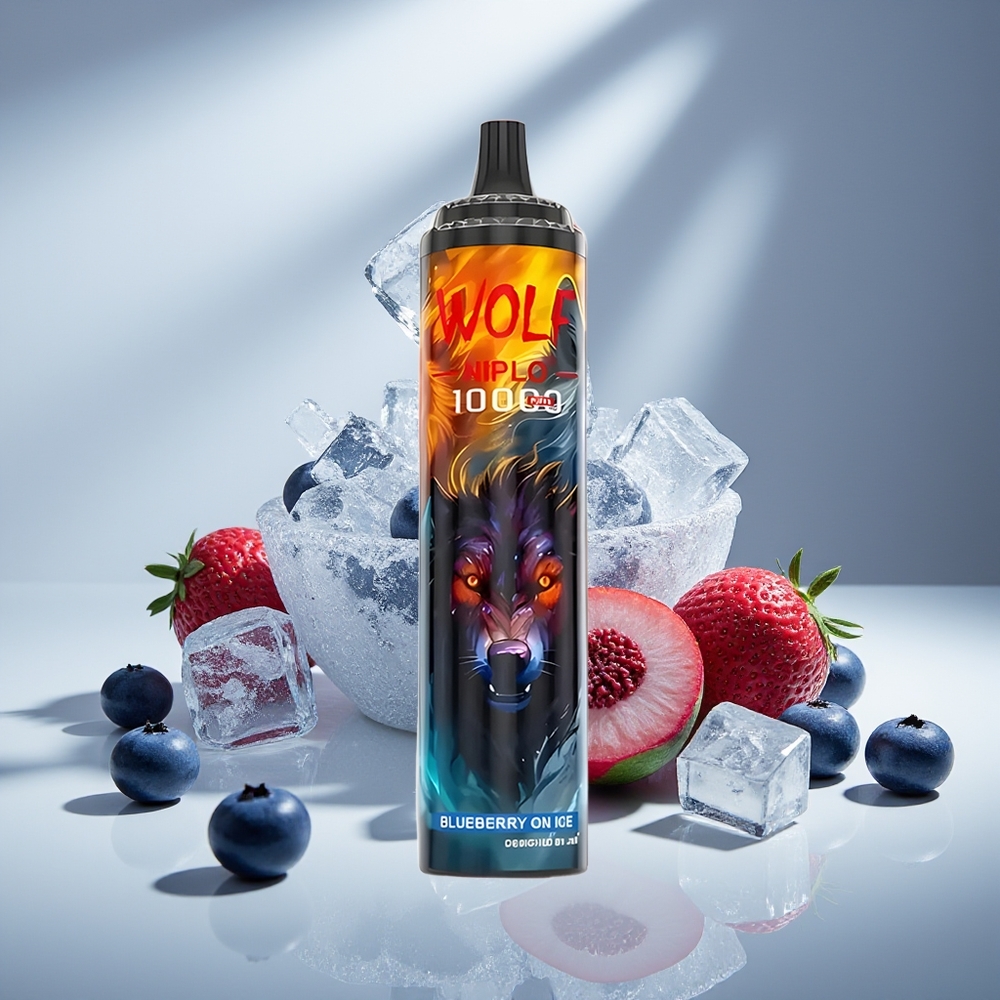 JNR Wolf Niplo 10000 Черника на льду 10Ω Type-C
